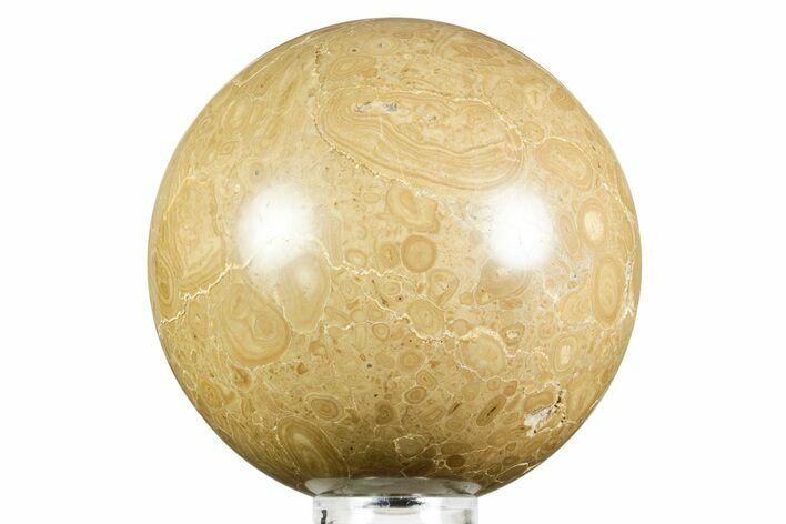 Polished Bird's Eye Jasper (Rhyolite) Sphere - Utah #371223